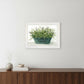 Farm Market White Framed Print Wall Art