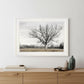Earth and Sky 1 White Framed Print Wall Art