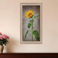 Sunflower II Brown Framed Print Wall Art