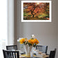 First Colors of Fall I 1 White Framed Print Wall Art