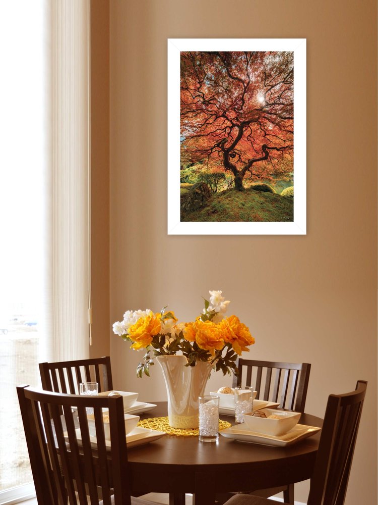 First Colors of Fall II 1 White Framed Print Wall Art