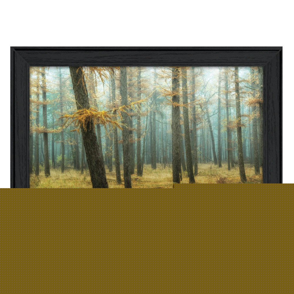 Holterberg in the Mist Black Framed Print Wall Art