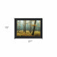 Holterberg in the Mist Black Framed Print Wall Art