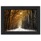 Autumn to Winter Black Framed Print Wall Art