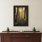 After The Rain Black Framed Print Wall Art
