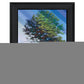 Catching Light as Time Passes 2 Black Framed Print Wall Art