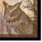 Set Of Two Wildlife Collection Black Framed Wall Art