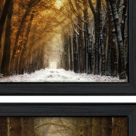 Set Of Two Golden Forest Path Black Framed Wall Art