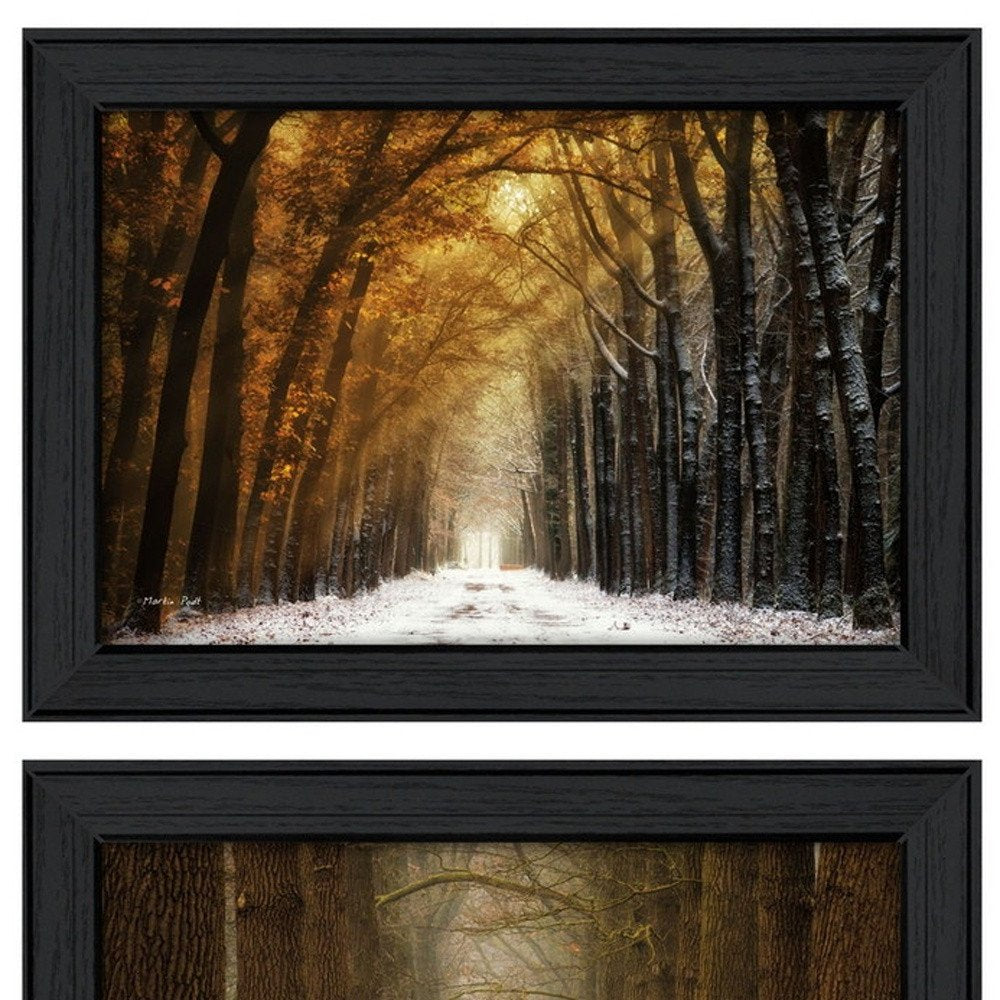 Set Of Two Golden Forest Path Black Framed Wall Art