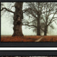 Set Of Two Misty Trees Black Framed Wall Art