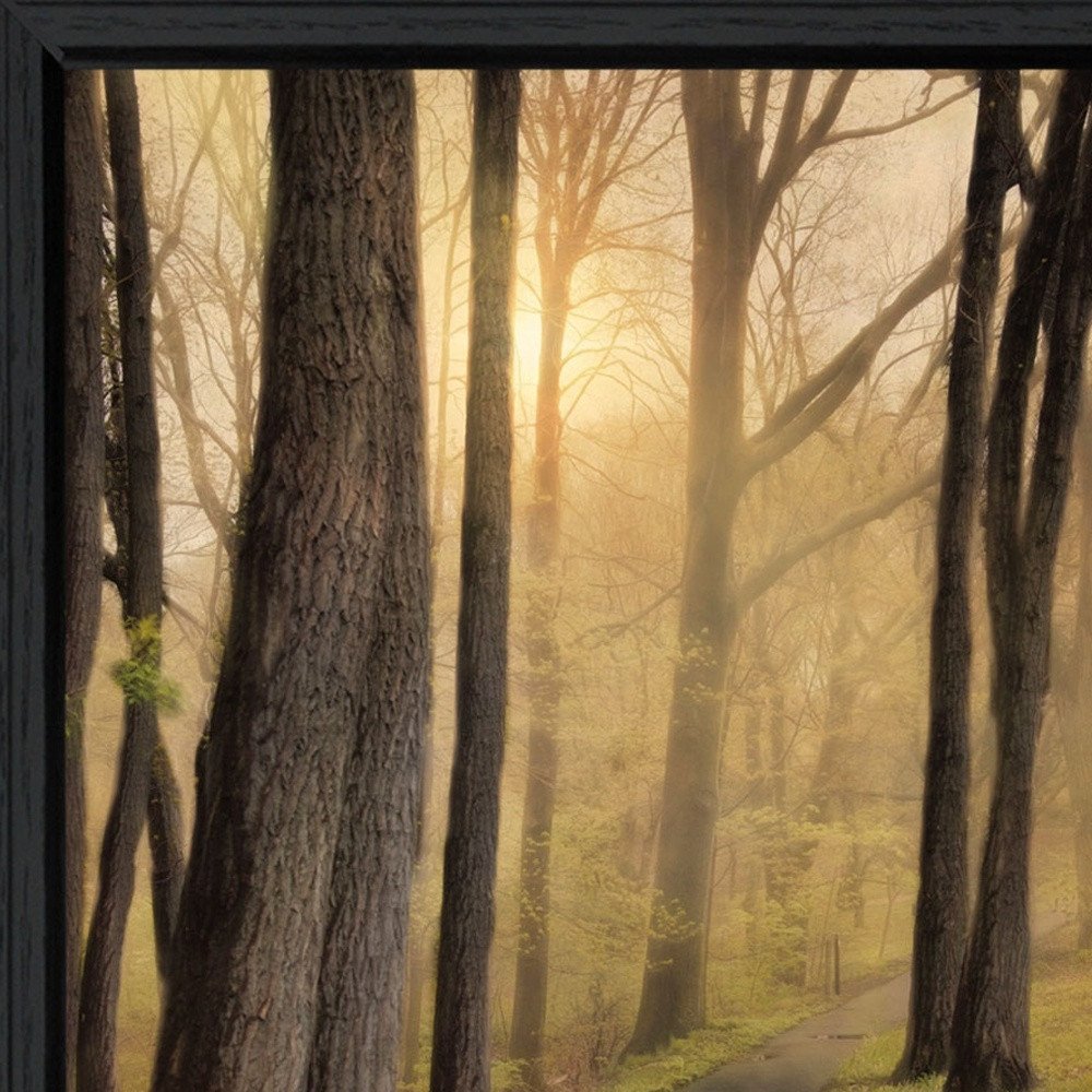 Set Of Two After The Rain Black Framed Wall Art