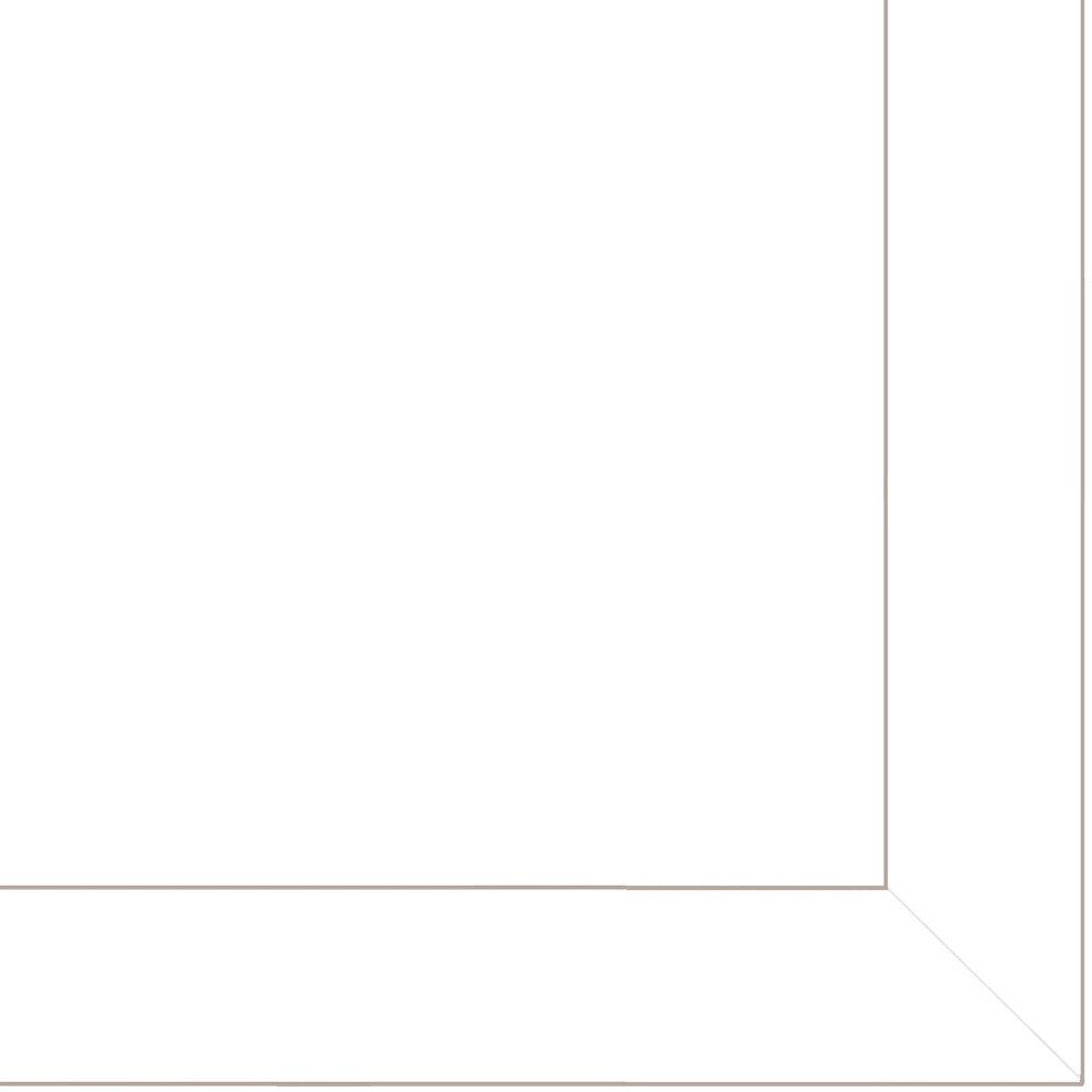 Set Of 3 Rectangle Paper Bird Not Flowers Not Entertainment & Fashion U.S. States And Territories No Season No Holiday By