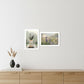 Set Of Two Bloom Where You are Planted 3 White Framed Print Wall Art