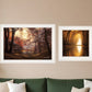Set Of Two Natures Reflections 1 White Framed Print Wall Art