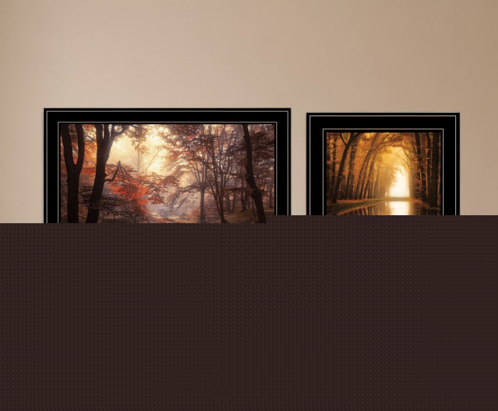 Set Of Two Natures Reflections 2 Black Framed Print Wall Art