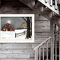 Light in the Stable 5 White Framed Print Wall Art