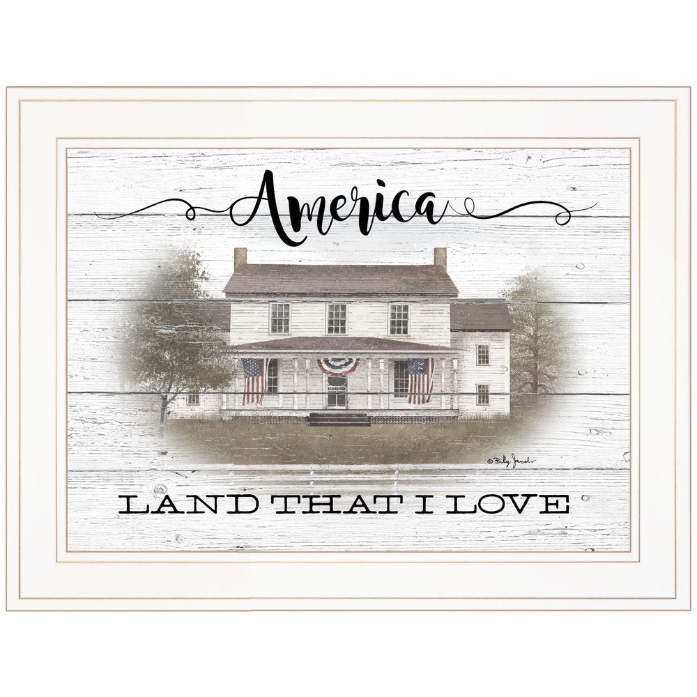 America 1 White Framed Print Wall Art
