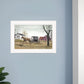 Goin to Market 1 White Framed Print Wall Art