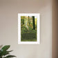 Irish Blessing 1 White Framed Print Wall Art