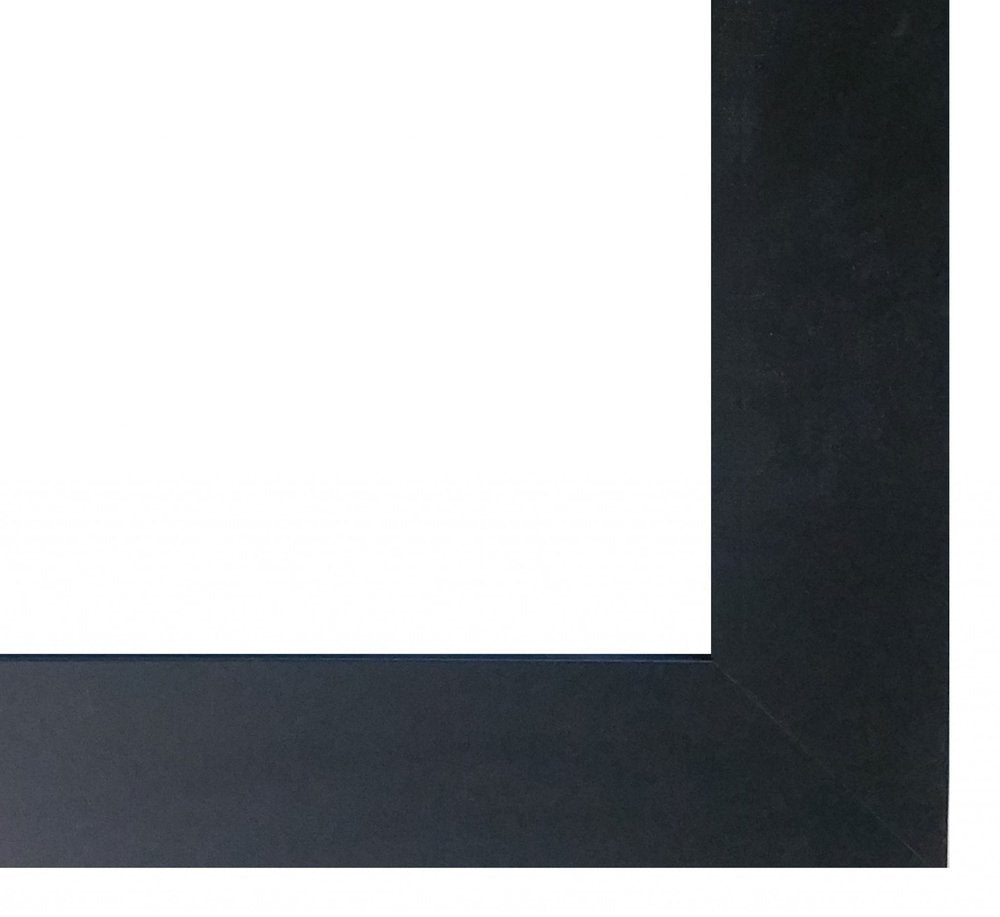 Call of the Wild 3 Black Framed Print Wall Art