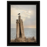 Birds Eye View 3 Black Framed Print Wall Art