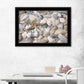 Starfish and Seashells 4 Black Framed Print Wall Art