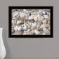 Starfish and Seashells 4 Black Framed Print Wall Art