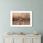 Fly Away 4 White Framed Print Wall Art