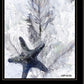 Ocean Collection 4 Black Framed Wall Art