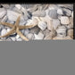 Set Of Two Cape Hatteras Lighthouse and Sea Shells 4 Black Framed Print Wall Art