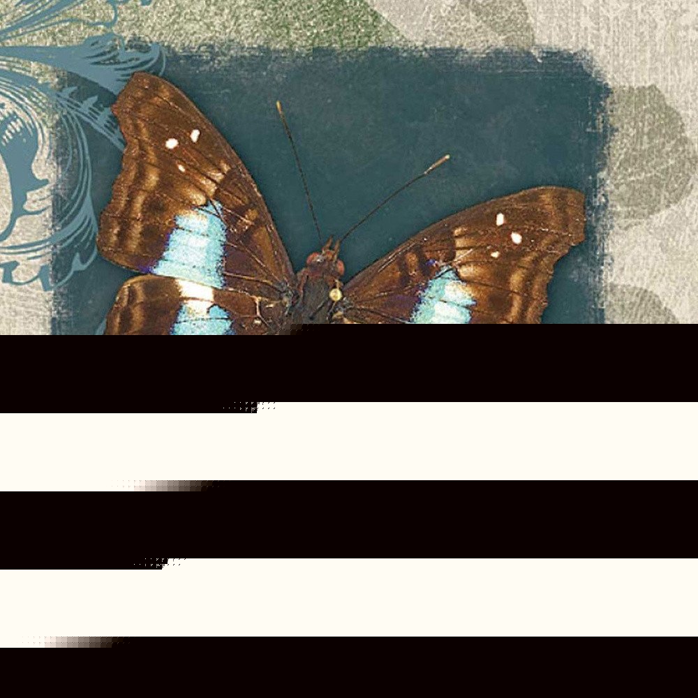 Swirl Butterfly White Framed Print Wall Art