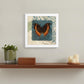 Swirl Butterfly II White Framed Print Wall Art