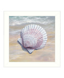 Scallop White Framed Print Wall Art