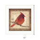 Male Cardinal 1 White Framed Print Wall Art