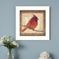 Male Cardinal 1 White Framed Print Wall Art