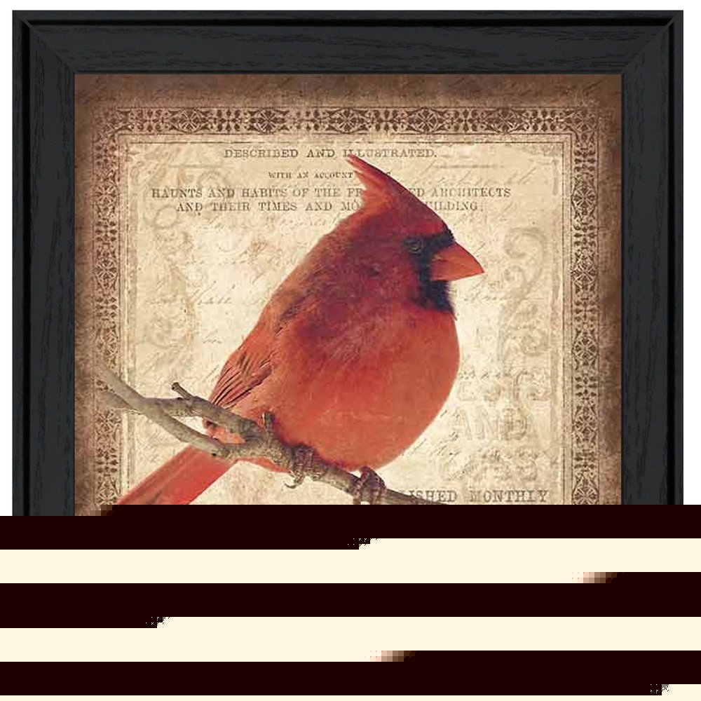 Male Cardinal 2 Black Framed Print Wall Art