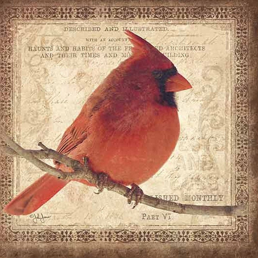 Male Cardinal 2 Black Framed Print Wall Art