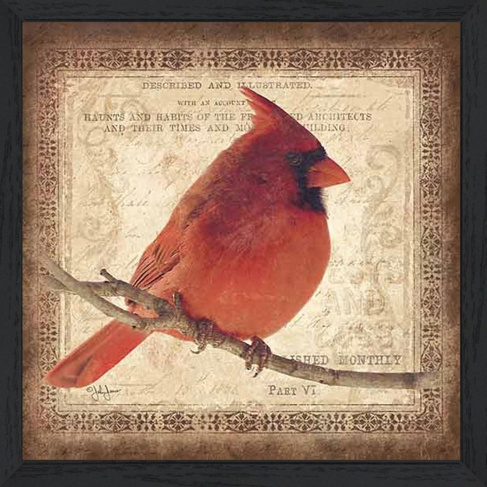 Male Cardinal 2 Black Framed Print Wall Art