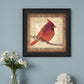 Male Cardinal 2 Black Framed Print Wall Art