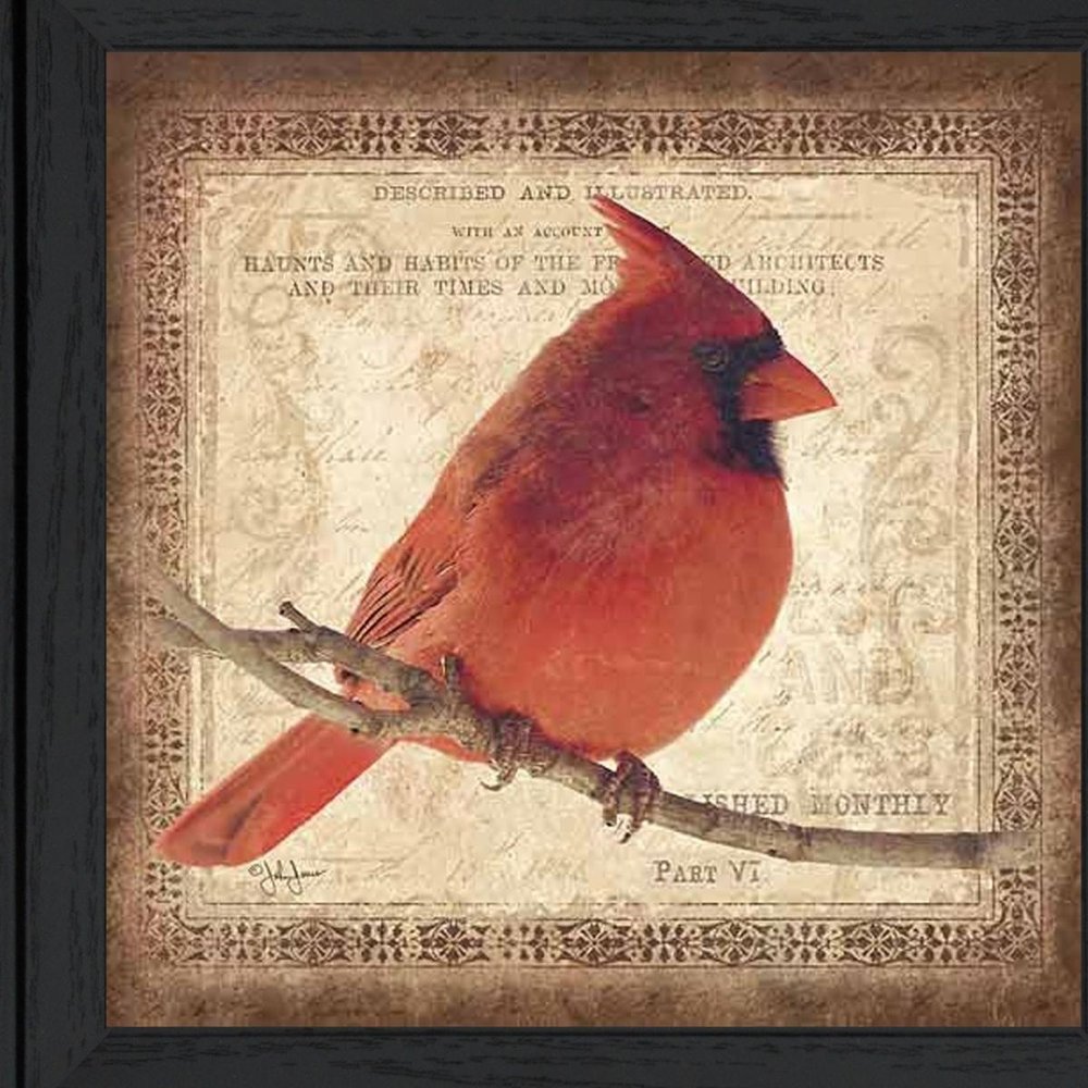 Male Cardinal 2 Black Framed Print Wall Art