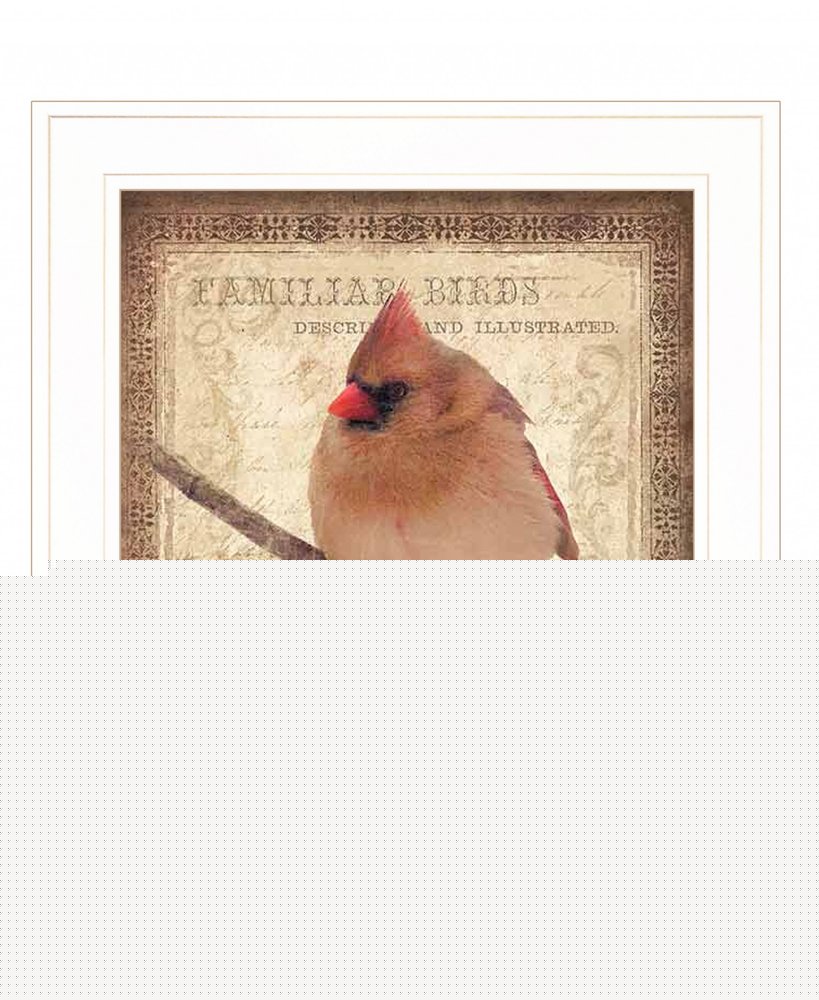 Female Cardinal 1 White Framed Print Wall Art