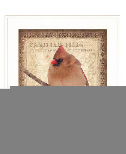 Female Cardinal 1 White Framed Print Wall Art