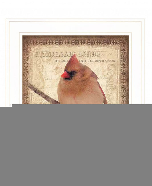 Female Cardinal 1 White Framed Print Wall Art