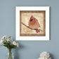 Female Cardinal 1 White Framed Print Wall Art