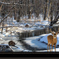 Great Outdoors Nature 2 Black Framed Print Wall Art