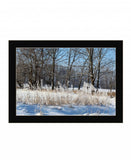 Natures Simple Blessings 3 Black Framed Print Wall Art