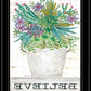 Believe Succulents 3 Black Framed Print Wall Art