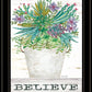 Believe Succulents 3 Black Framed Print Wall Art