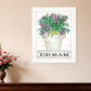 Dream Succulents 2 White Framed Print Wall Art