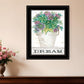 Dream Succulents 3 Black Framed Print Wall Art